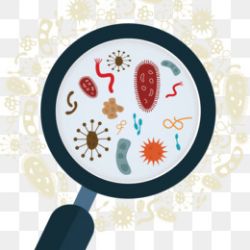 Microbiologia