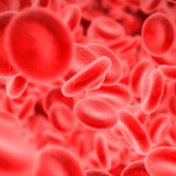 hematologia